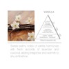 Acqua Aroma Vanilla Reed Diffuser 3.4 FL OZ (100ml)