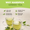 HANDPICK, Organic Green Tea Bags - 100 Eco-Friendly Tea Bags