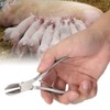 Stainless Steel Piglet Teeth Cutter Pig Tooth Nipper Teeth Cutter