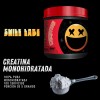 Creatina Monohidratada 500g Smile Labz Alta Pureza Sin Sabor