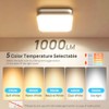 Consciot Bathroom Exhaust Fan with Light, 50 CFM, 1.0 Sone