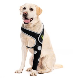 KISFLY Dog Leg Sleeve to Stop Licking – Elbow Protector for Hygroma, Pressure Sores, Elbow Calluses – Breathable Dog Recovery Sleeve for Front Leg with Reflective Trim, Cone Alternative – Left Leg, M