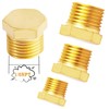 AOPANDA 1/8 NPT Adapter Brass pipe plug, 1/8 NPT plug