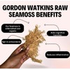 Sea Moss (raw) (Golden, 100g)