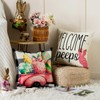Volcanics Set of 4 Easter Pillow Covers 18x18 Inch, Hello