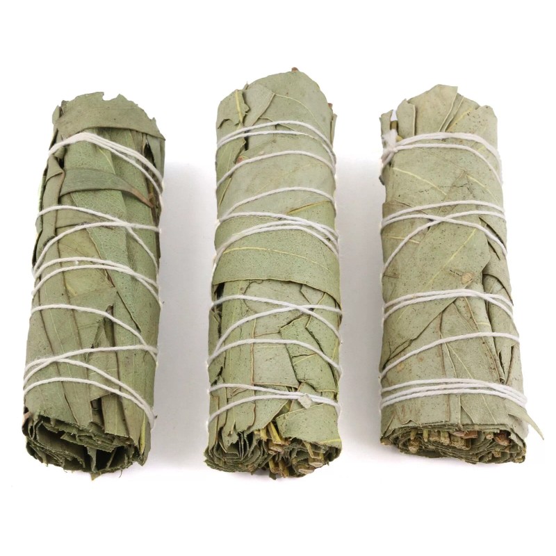 Eucalyptus Smudge Sticks (Pack of 3) House Cleansing, Energy Cleanse