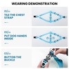 EXCELLENT ELITE SPANKER Step-in Dog Harness, Adjustable, Non-Pull Dog Harness,