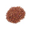 Red Quinoa Seed-8oz-Whole Grain Gluten Free Red Quinoa