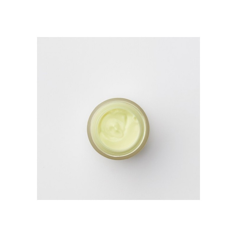 Carol Priest Avocado Fruit Moisturizing Cream 50g / 캐롤프리스트 아보카도