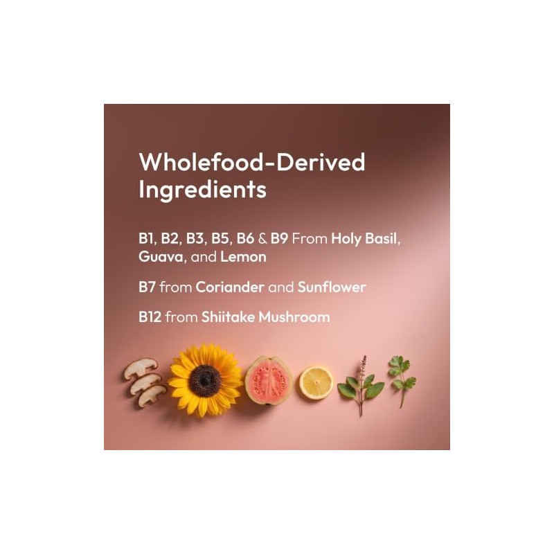 Organic Vitamin B Complex - Wholefood Plant-Based - 120 Capsules