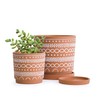 D'vine Dev Set of 2 Terracotta Pots, 4 Inch &