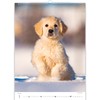 KALPA Puppy Calendar 2024: 12 Month Wall Calendar (24 x