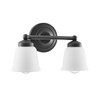 Aspen Creative 62013-2A, Two-Light Metal Bathroom Vanity Wall Light Fixture,