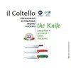 Sanelli SN-103633 Premana Professional Fish Knife, 13", Silver/Green