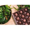 Hawaiian Host Founders Collection - Dark Chocolate Macadamia Nuts -