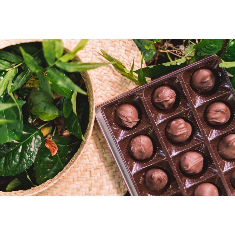 Hawaiian Host Founders Collection - Dark Chocolate Macadamia Nuts -