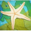 Sea Creature Replicas - Rubber/PVC - AAA