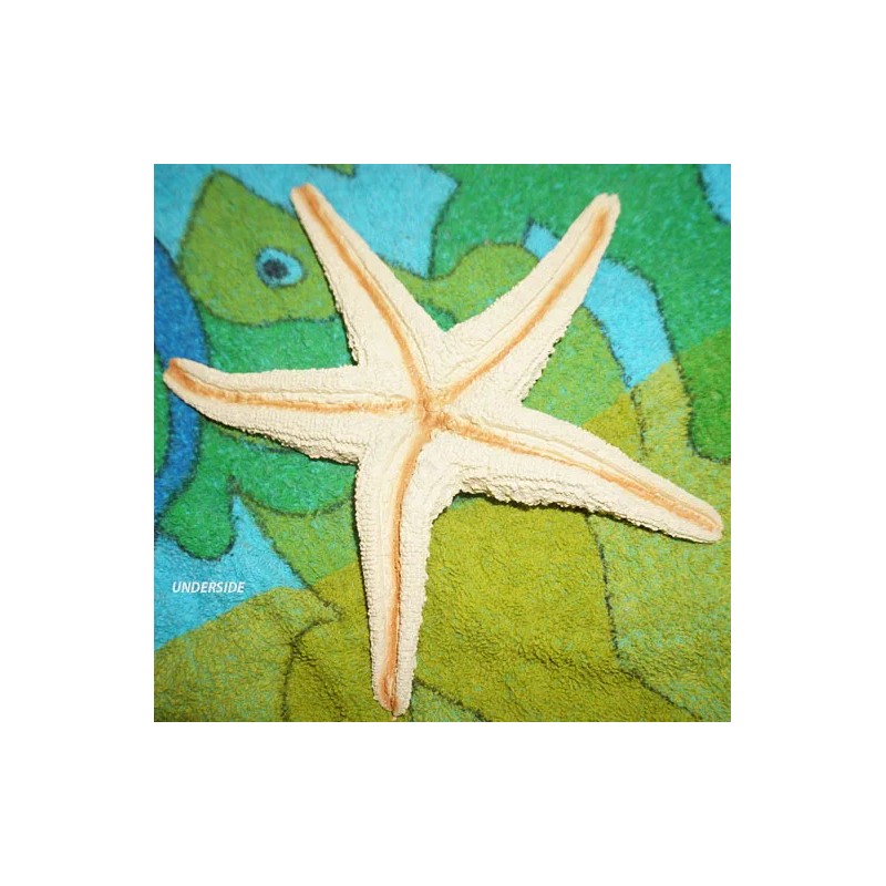 Sea Creature Replicas - Rubber/PVC - AAA