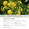 Natural 100% Grapefruit Oil 100ml Aroma Oil Essential Oil