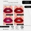 Kit Labiales Humectantes 6 Tonos Bissu Rojos Para Invierno