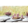 BOLSIUS 4 Pack Ash Rose Rustic Pillar Candles - 2.75