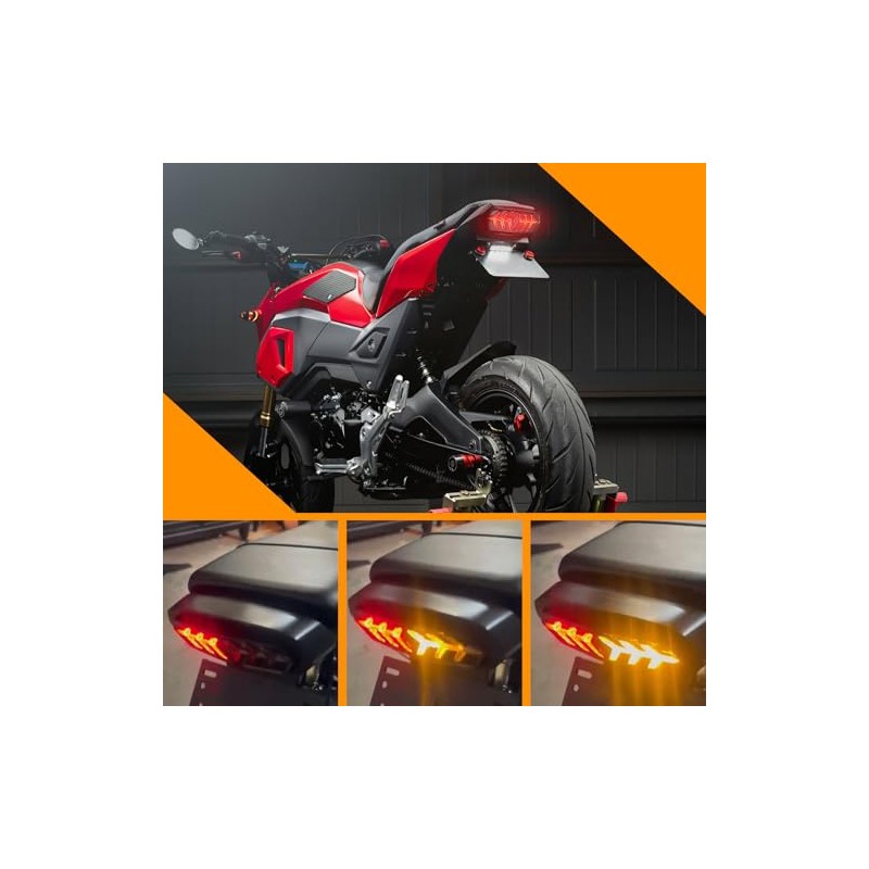 DREAMIZER Integrated Motorcycle Rear Light with Indicator LED Brake Light,