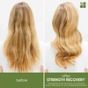 Biolage Professional Strength Recovery Nourishing Conditioning Cream Infused with Vegan