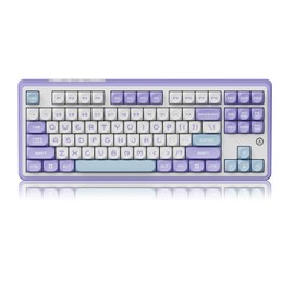 DAIDAI×AJAZZ AK870 TKL 87-Key Gasket Structure Full-Key Hot-Swappable Mechanical Keyboard Type-C/2.4G/BT 5.1, 4000mAh Battery, MOA Keycap,South-Facing RGB, for Windows/MAC.