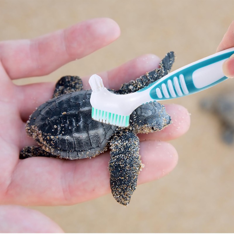 HAICN 2Pcs Turtle Cleaning Brush Turtle Shell Cleaning Brush Mini