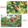 Anti Bird Netting for Garden Woven Mesh - Heavy Duty