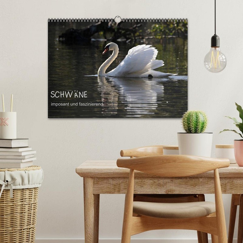 Schwäne - imposant und faszinierend (Wandkalender 2026 DIN A3 quer),