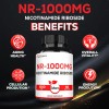 Satoomi Nad Nr 1000 Mg Suplemento - 60 Cápsulas Para