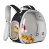 Guinea Pig Backpack Carrier, Bearded Dragon Carrier Backpack with Clear