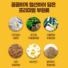Nature Dew Health Mall Partner Spermidine Spermidine Zinc Effectiveness 1 month supply / 스페르미딘 스퍼미딘 아연 효능 1개월분