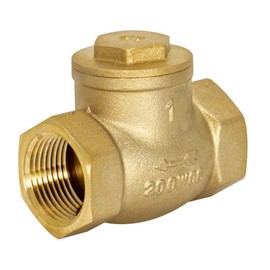 Eastman Brass Swing Check Valve, 1 Inch IPS, Brass Plumbing Fitting, 20425LF