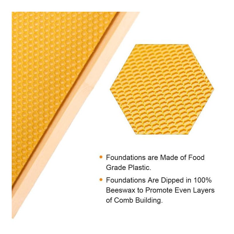 Maybee Hives 100% Beeswax Langstroth Beehive Box With Pine Wooden