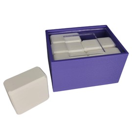 Quadro Puzzle – Brain Teaser Puzzle for Adults & Youth | Make Everything Fit Through The Glass | 3D-Printed (Purple (White))