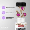Cardo Mariano 500mg Suplemento Superlabs 100 Cápsulas Desintoxicante Hepático