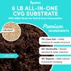 Mycelium 6 LB Mushroom Growing Kit | All-in-One CVG Substrate