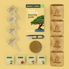 Bonsai Starter Kit - Gardening Easter Gift for Women &