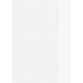 Brunnen 1066946 Ring Binder Inserts A4 (Squared with Margin, Line Style 26, 100 Sheets, 70 g/m²)