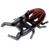 FrB-181V Rattles Float, 41.3 x 26.0 inches (105 x 66