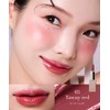 SELVE Melting Film Lip (05 Tony Red, 3.8 Grams)