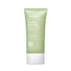 Mediheal SPF 50+PA++++ Tea Tree Soothing Sun Cream, 1.7 fl