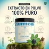 Commons Eleuthero - Adaptógenos - Suplemento Natural - Energía y