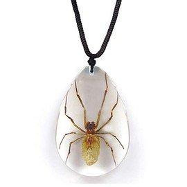 BicBugs brown recluse spider necklace