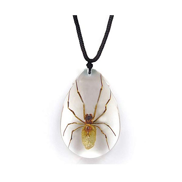BicBugs brown recluse spider necklace