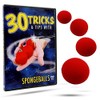 Easy to Master Sponge Ball Magic with Complete Online Course