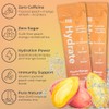 310 Nutrition Polvo de Electrolitos Sin Azúcar Sugar-Free Electrolyte Hydration