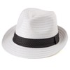 Straw Trilby Hat for Men - Summer Sun Fedoras Travel